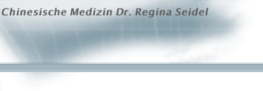 Chinesische Medizin Dr. Regina Seidel